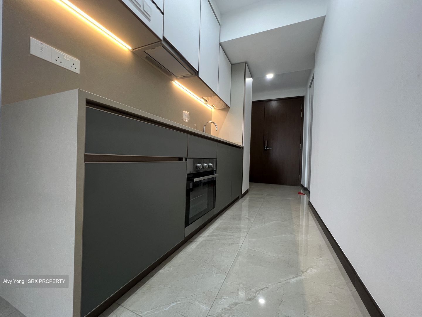 Normanton Park (D5), Apartment #438434351